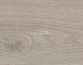 Ламинат Haro Tritty 100 4V Дуб Флавия Серый 544702 фото 1 | FLOORDEALER