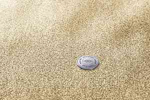 Ковролин Vorwerk Essential 1076 Vorwerk 8k12 фото  | FLOORDEALER