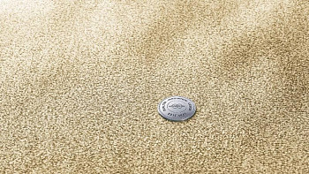 Ковролин Vorwerk Essential 1076 Vorwerk 8k12 фото 1 | FLOORDEALER