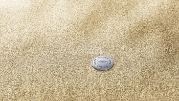 Ковролин Vorwerk Essential 1076 Vorwerk 8k12 фото 1 | FLOORDEALER