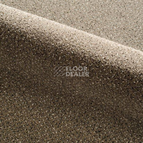 Ковролин Radici Verona 308C фото 1 | FLOORDEALER