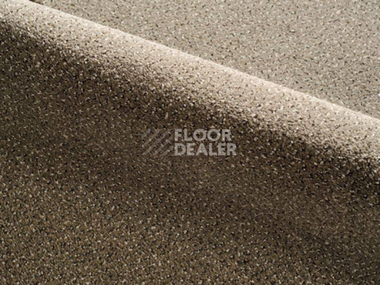 Ковролин Radici Verona 308C фото 1 | FLOORDEALER