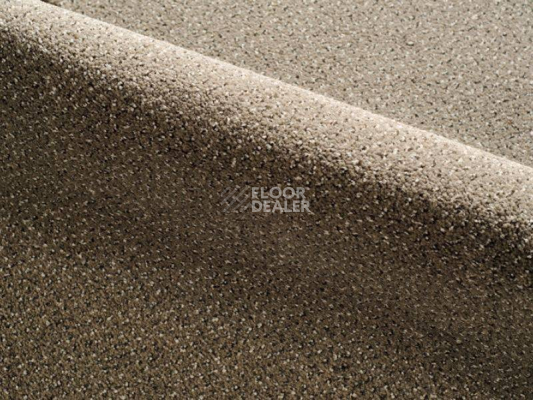 Ковролин Radici Verona 308C фото 1 | FLOORDEALER