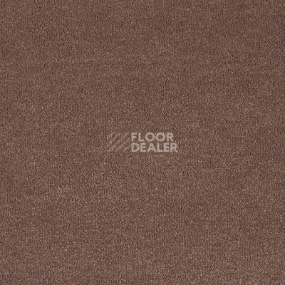 Ковролин Lano Pleasure Ple 0180 фото 1 | FLOORDEALER