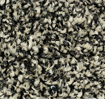 Forbo Coral Bright 2604 Virgin Sand фото 2 | FLOORDEALER