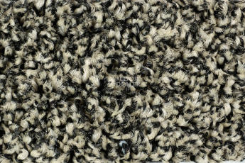 Forbo Coral Bright 2604 Virgin Sand фото 2 | FLOORDEALER