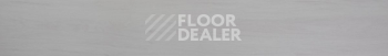 Evofloor Optima Click 4.2мм Дуб Арктический фото 2 | FLOORDEALER