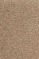 Ковролин AW Stainguard Harvest 32 фото 1 | FLOORDEALER