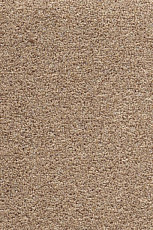 Ковролин AW Stainguard Harvest 32 фото 1 | FLOORDEALER