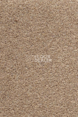 Ковролин AW Stainguard Harvest 32 фото 1 | FLOORDEALER