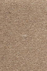 AW Stainguard Harvest 32 фото 1 | FLOORDEALER