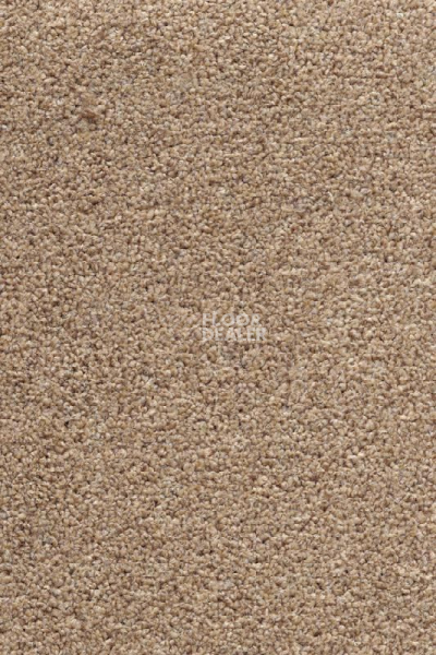 Ковролин AW Stainguard Harvest 32 фото 1 | FLOORDEALER