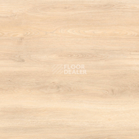 Kronotex Exquisit Plus d80242 Дуб Аванто Бежевый фото 3 | FLOORDEALER