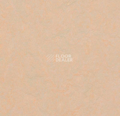 Линолеум Forbo Marmoleum Неожиданная природа 3563 фото 1 | FLOORDEALER