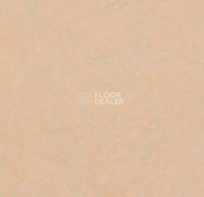 Линолеум Forbo Marmoleum Неожиданная природа 3563 фото 1 | FLOORDEALER