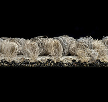 Desso Grain 9093 фото 4 | FLOORDEALER