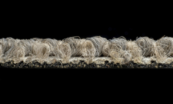 Desso Grain 9093 фото 4 | FLOORDEALER