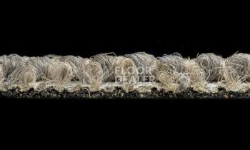Desso Grain 9093 фото 4 | FLOORDEALER