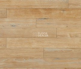 Линолеум Novoflor Extra Wood 2017-2 фото 1 | FLOORDEALER