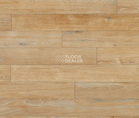 Линолеум Novoflor Extra Wood 2017-2 фото 1 | FLOORDEALER
