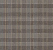 Ковролин Flotex Vision Pattern 590025 (Plaid) Tweed фото 1 | FLOORDEALER