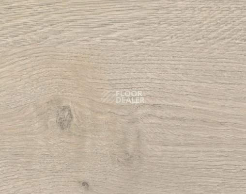 Ламинат Haro Tritty 90 Дуб Торри Серый 544696 фото 1 | FLOORDEALER