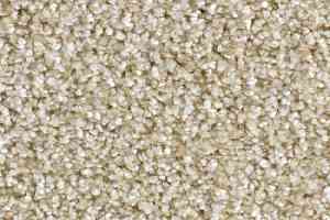 Ковролин Balsan Feelings 610 фото  | FLOORDEALER