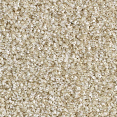 Ковролин Balsan Feelings 610 фото 1 | FLOORDEALER