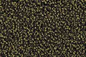 Ковролин Desso Cassini 7862 фото  | FLOORDEALER