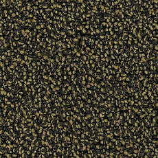 Desso Cassini 7862 фото 1 | FLOORDEALER