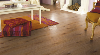 Kronotex Exquisit 8мм d4169 Дуб Престиж Светлый фото 4 | FLOORDEALER