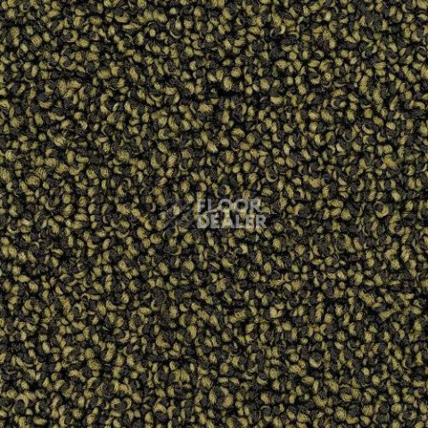 Ковролин Desso Cassini 7862 фото 1 | FLOORDEALER