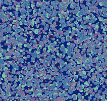 Ковролин Halbmond Tiles & More 4 tm 4-047-03 фото 1 | FLOORDEALER