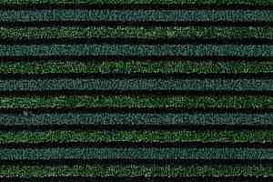 Грязезащитные покрытия Forbo Coral Duo 9708 Green Bellagio фото  | FLOORDEALER