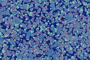 Ковролин Halbmond Tiles & More 4 tm 4-047-03 фото  | FLOORDEALER