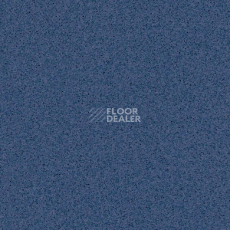 Линолеум Tarkett Primo Plus 310 фото 1 | FLOORDEALER