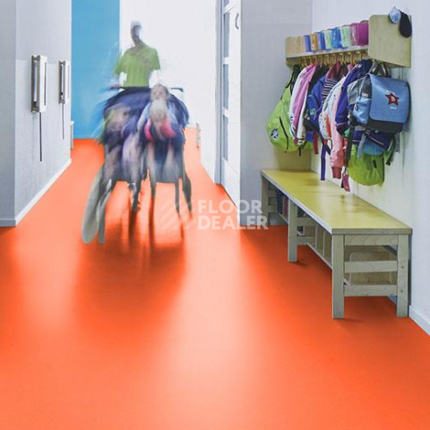Forbo Marmoleum Decibel on Order 365135 zinnia фото 2 | FLOORDEALER