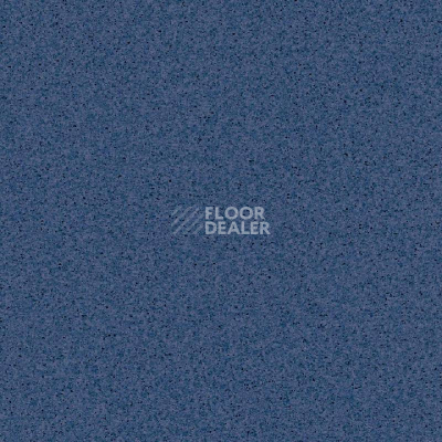 Линолеум Tarkett Primo Plus 310 фото 1 | FLOORDEALER