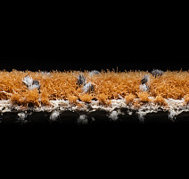 AW Magma 80 фото 4 | FLOORDEALER