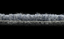 Rudiments Коллекция Clay Create Clay Create 556 фото 8 | FLOORDEALER