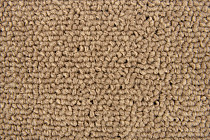Standard Carpets Spectrum sm 595 фото 2 | FLOORDEALER