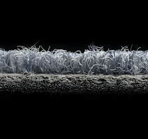 Rudiments Коллекция Clay Create Clay Create 556 фото 8 | FLOORDEALER