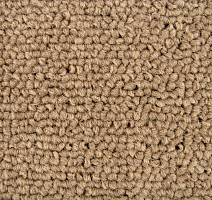 Standard Carpets Spectrum sm 595 фото 2 | FLOORDEALER