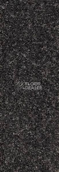 Ковролин AW Stainguard Harvest 97 фото 1 | FLOORDEALER