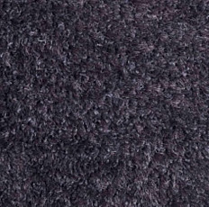 Carnival Associated 97 фото 1 | FLOORDEALER