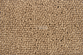 Standard Carpets Spectrum sm 595 фото 2 | FLOORDEALER