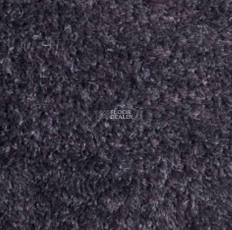 Carnival Associated 97 фото 1 | FLOORDEALER