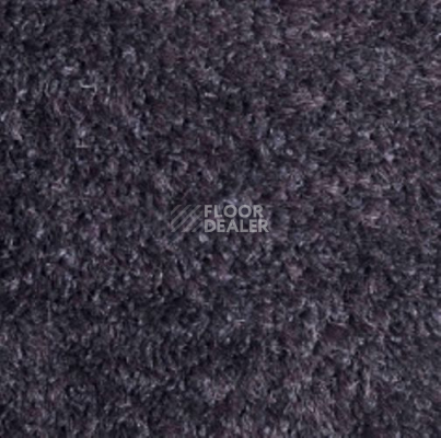 Ковролин Carnival Associated 97 фото 1 | FLOORDEALER