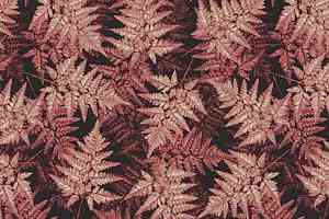 Ковролин Ege Highline Nature rf 52755428 фото  | FLOORDEALER