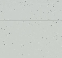 Forbo Sphera Energetic 50229 morning dew фото 2 | FLOORDEALER